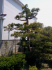 2013-05-05 13.01.14.jpg